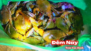 Đêm nay bắt rất nhiều cua xanh biển l Caught a lot of blue crabs tonight.