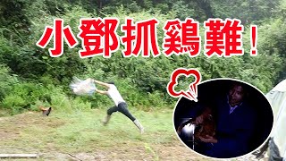 【石頭記事】80後農村大叔深山養土雞，今天接到了一個大單，看看賣了多少隻雞