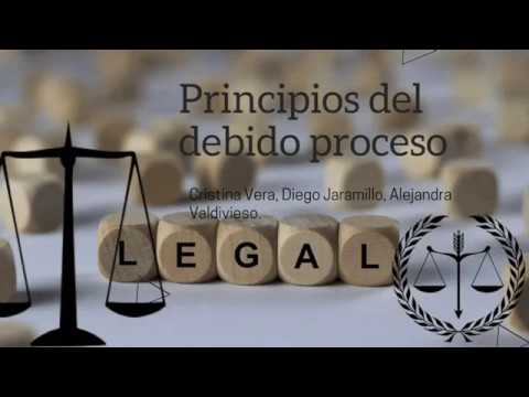 Principios Del Debido Proceso - YouTube