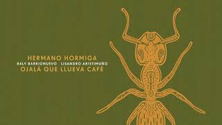 Hermano Hormiga - Ojalá que llueva café