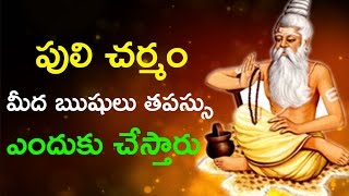 పులి చర్మం మీద ఋషులు తపస్సు ఎందుకు చేస్తారు ? | mana nidhi