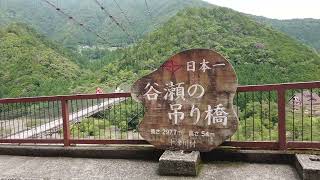 【和歌山・大阪の旅#10】自然の絶景と恐怖 谷瀬の吊り橋（日本一） 奈良県十津川村 Superb view and fear of nature Tanize Suspension Bridge No