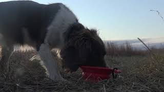 Pheasant Hunting Gear