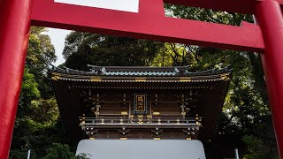 Exploring the area around Enoshima and following the Enoden line in Kanagawa prefecture.