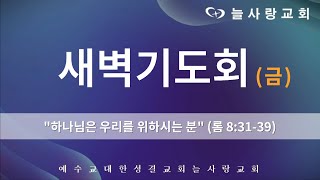 [부천늘사랑교회] 24.6.14 | 새벽기도회 | 하나님은 우리를 위하시는 분 | 롬 8:31-39 | 박대하 전도사