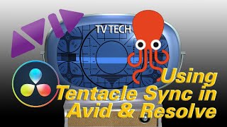 Tentacle Sync Workflow