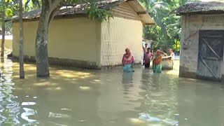 Assam: Flood situation improves in parts of Morigaon, brings relief to locals