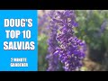 Doug's Top 10 Salvias for your garden