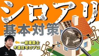 【注文住宅】木造住宅のプロが教えるシロアリの基本対策はこの動画一本で全て解決！