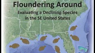 Floundering Around - Evaluating a Declining Species in the SE United States - Session 1