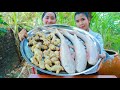 Shark Crispy Cooking Ginger - Cooking With Sros