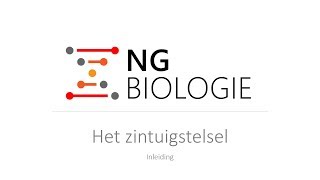 Het zintuigstelsel - inleiding - HAVO/VWO