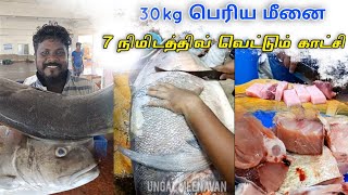 30 கிலோ பெரிய மீனை 7 நிமிடத்தில் வெட்டி முடுச்சுட்டாரு | Amzing fish cutting skill