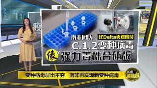 传染力比Delta强？   南非惊现“C.1.2”新变种病毒  | 八点最热报 01/09/2021 #同心引领未来