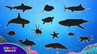 Learn Sea Animal Names - Ocean Animal s - Sea Animal Puzzle for Kids