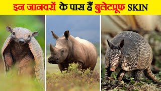 दुनिया के 10 सबसे सख्त और मजबूत चमड़ी वाले जानवर | Animals With The Toughest Skin In The World