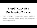 can an llc file for chapter 7 bankruptcy