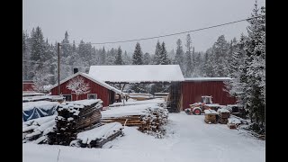 Gutta på Bjørkåssava