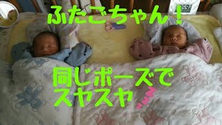 二卵性双子赤ちゃん（男女）同じポーズで寝てる　生後１６日　mix twins