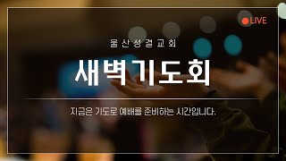 [울산성결교회]  25. 2.11 화요일ㅣ성경통독 3-113회차ㅣ대하 29장 - 31장 ㅣ새벽말씀 한대수 목사의 사본