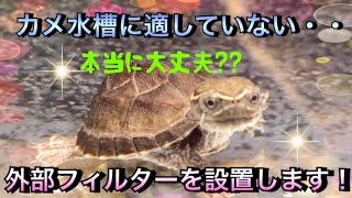 【アクアリウム】カメ水槽に適していない？外部フィルターを設置します！【ミシシッピーニオイガメ】【外部フィルター】【実験】