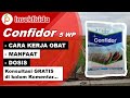 Review Insektisida Confidor 5 WP - Insektisida confidor 5 wp untuk cabe, padi, dan bawang merah