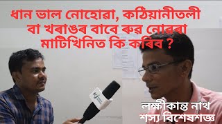 August- September : ধান ভাল নোহোৱা, কঠিয়ানীতলী বা খৰাঙৰ বাবে ৰুৱ নোৱৰা মাটিখিনিত কি খেতি কৰিব।