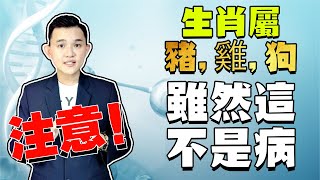 生肖性格｜拖延症的性格，讓人很難受｜這三種生肖要注意咯 #生肖 #十二生肖 #生肖性格