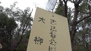 30秒の心象風景18750・古法華公園～バス停～