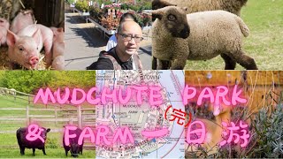 Mudchute Park And Farm 一日游（完）适合全家人一起玩耍的地方 #london #londontravel #londonvlog #倫敦 #倫敦自由行 #uk #2023最新