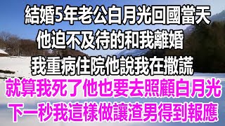 結婚5年老公白月光回國當天，他迫不及待的和我離婚，我重病住院他說我在撒謊，還說就算我死了他也要去照顧白月光，下一秒我這樣做讓渣男得到報應 #深夜讀書#爽文#幸福人生#婚姻#為人處世#溫情人生#情感故事