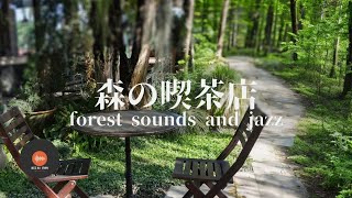 環境音＋JAZZ やさしい森の喫茶店 1/fゆらぎの静かなリラックスタイム - 作業用BGM