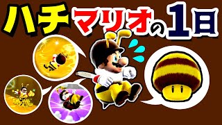 【ゲーム遊び】ハチマリオの1日 スーパーマリオ ギャラクシー【アナケナ】Super Mario Galaxy