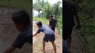 Bang tama berenang di kali