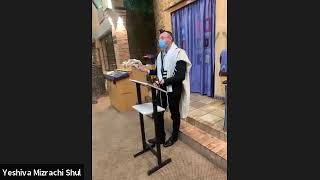 Rav Eli Goldfein Siyum Pesachim for Taanit Bechorot