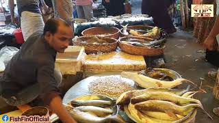 Bangladeshi fish market | Dhaka khilkhet fish market | Dhaka khilkhet bazar |