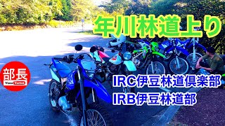 年川林道上り×IRC伊豆林道倶楽部 2023-9-17【モトブログ】