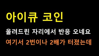 [아이큐 코인] 다 필요없고 무조건 이것만 확인하세요. 항상 그래왔듯 똑같이 2배 터질 가능성