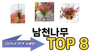 가장 많이 팔린 남천나무 추천 TOP 8 가격, 후기 구매처 안내