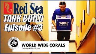 Reefer Deluxe 525 XL Tank Build #3 - Acclimating & Dipping SPS from World Wide Corals!