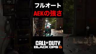 【COD:BO6】これがフルオート化したマークスマン『AEK-973』の強さ【カスタム紹介】