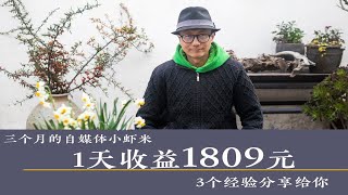 1天收益1809元，营运3个月的自媒体小虾米，分享3个经验给你