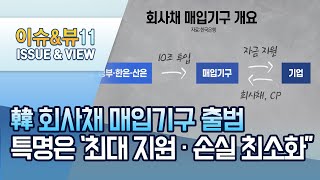 [뉴스후] 투기등급도 품는 회사채 매입기구…특명은 '손실 최소화' / 머니투데이방송 (뉴스)