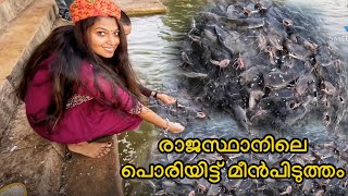 🔥രാജസ്ഥാനിലെ പൊരിയിട്ട് മീൻപിടുത്തം 😲😲||#rajasthan #smeesworld #fish #fishing