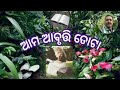 କବୟିତ୍ରୀ ନିବେଦିତା ଚୌଧୁରୀଙ୍କ ସ୍ଵରଚିତ ଆବୃତ୍ତି