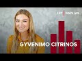 Gyvenimo citrinos. Kristina metė darbą teisėje: kol keičiu karjerą, nesigėdiju dirbti valytoja