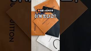 🛍️명품 쇼핑백으로 이게 된다고?