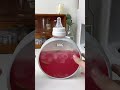 【石榴汁】【pomegranate juice】连喝三天的石榴冰柠茶 仙女的快乐