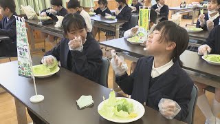 香川県産のレタスは今が旬　生産者が小学校に出前授業　東かがわ市