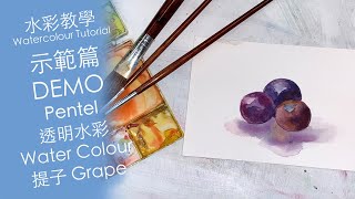 【水彩教學影片】示範篇 ~ 提子Grape🍇Full Version🎬